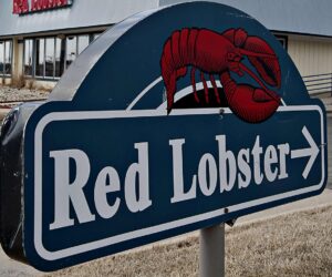 What Is on the Red Lobster $10 Lunch Menu